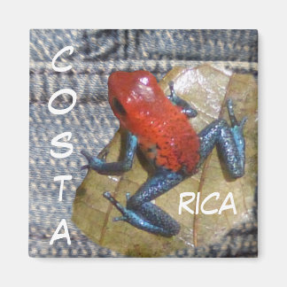 Blue Jeans Frog Customizable Magnet