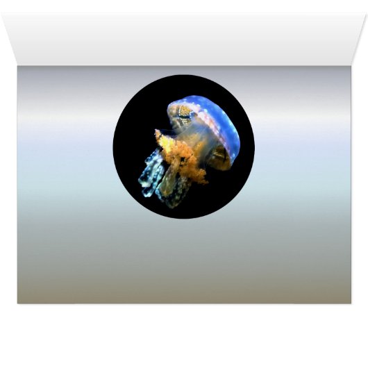 Blue Jellyfish (Inside Horizontal (Bottom))