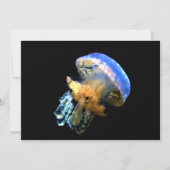Blue Jellyfish (Front)