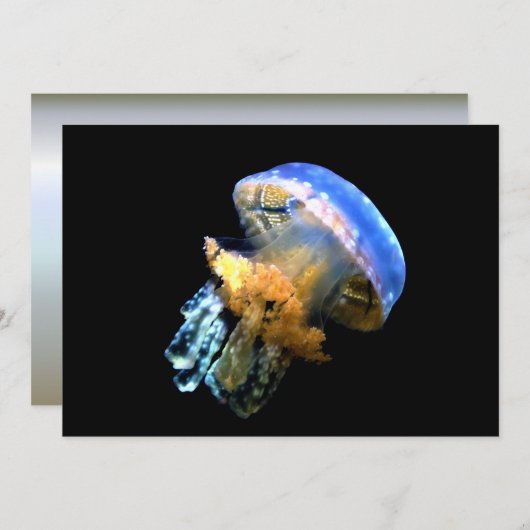 Blue Jellyfish (Front/Back)