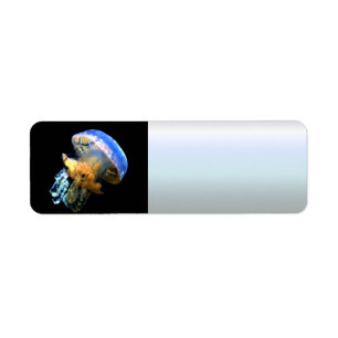 Blue Jellyfish Label