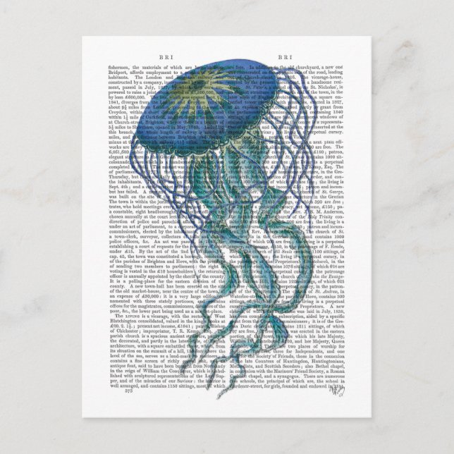 Blue Jellyfish Postcard (Front)