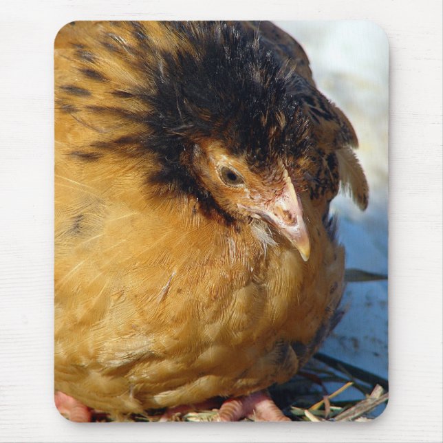 Blue Jr Mouse Pad (Front)