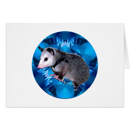 Blue Kaleidoscope Possum Cards (Front Horizontal)