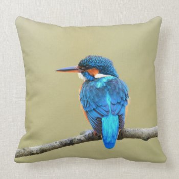 Blue Kingfisher Bird Throw Pillow by biutiful at Zazzle