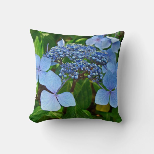 Blue Lace-Cap Hydrangea Blossoms - Pillow (Front)