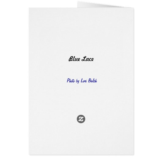 Blue Lace Cards (Back)