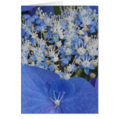 Blue Lace Cards (Front)