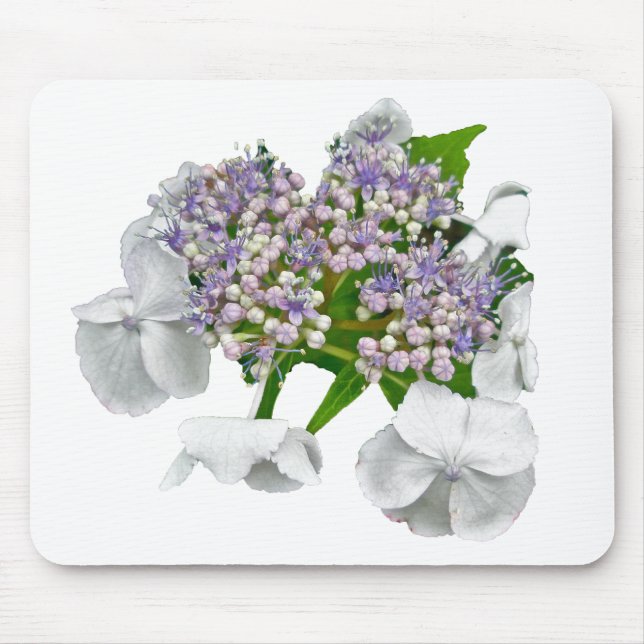 Blue Lace Hydrangea Coordinating Items Mouse Pad (Front)