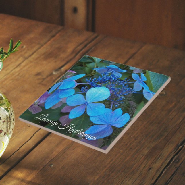 Blue Lacecap Hydrangea Floral Ceramic Tile (In Situ)