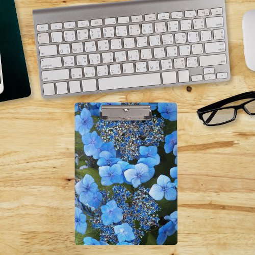 Blue Lacecap Hydrangea Floral Clipboard