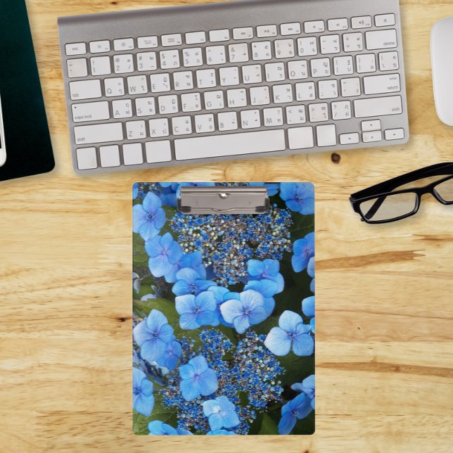 Blue Lacecap Hydrangea Floral Clipboard (In Situ)
