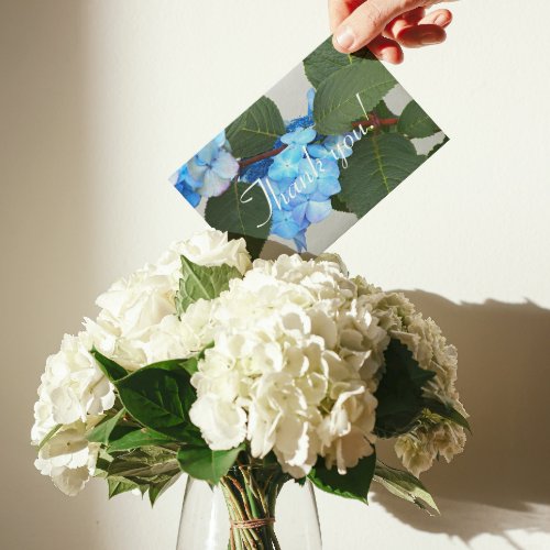 Blue Lacecap Hydrangea Floral Thank You Card