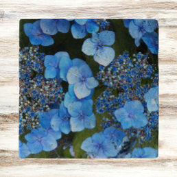 Blue Lacecap Hydrangea Floral Trivet