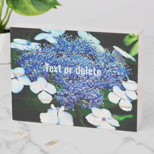 Blue Lacecap Hydrangea Flower Personalized Wooden Box Sign