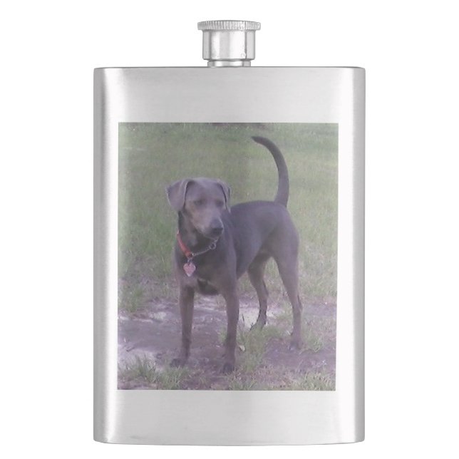 blue lacy full flask (Front)