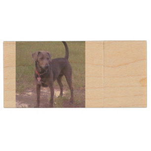 blue lacy full wood flash drive