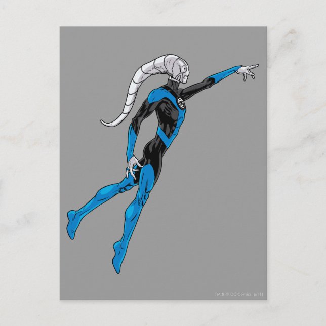 Blue Lantern 10 Postcard (Front)