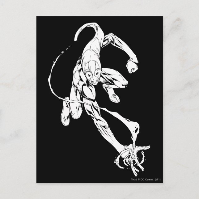 Blue Lantern 9 Postcard (Front)