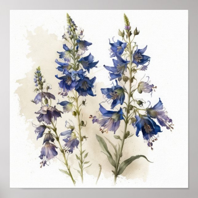 Blue Larkspur Flower Art Print Poster (Front)