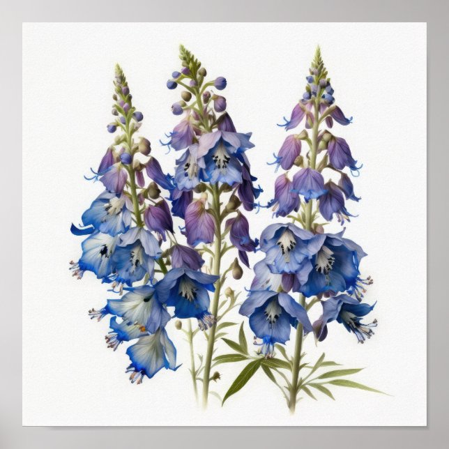 Blue Larkspur Flower Art Print Poster (Front)