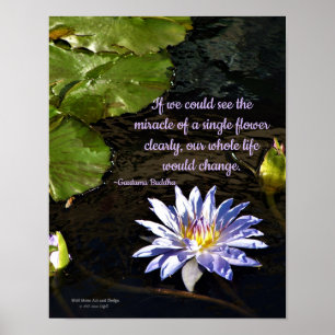 Blue Lavender Yellow Center Water Lily Flower Poster