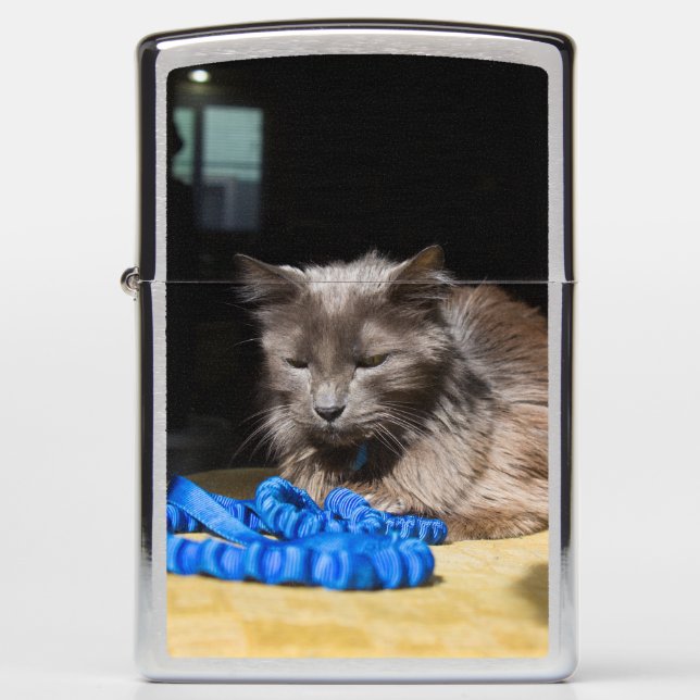 Blue Leash Zippo Lighter (Front)