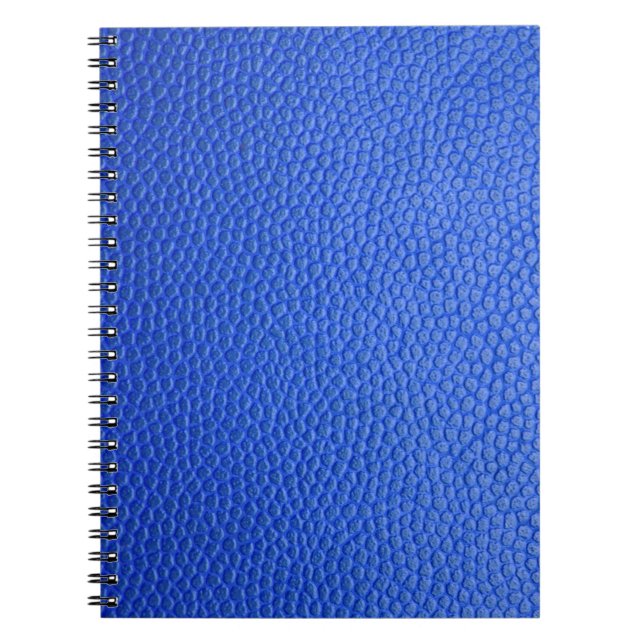 Blue leather skin texture skin notebook (Front)