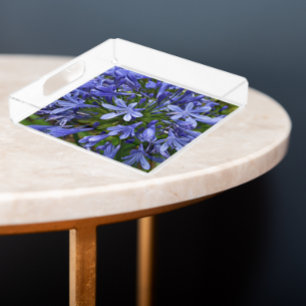 Blue Lily of the Nile Agapanthus Floral Acrylic Tray