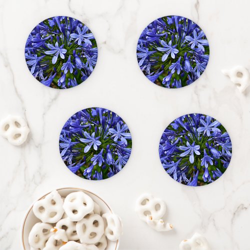 Blue Lily of the Nile Agapanthus Floral Coaster Set