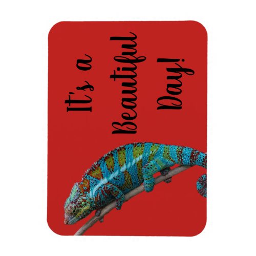Blue Lizard Beautiful Day Red Magnet