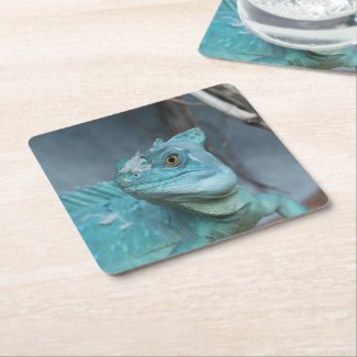 Blue Lizard Square Paper Coaster