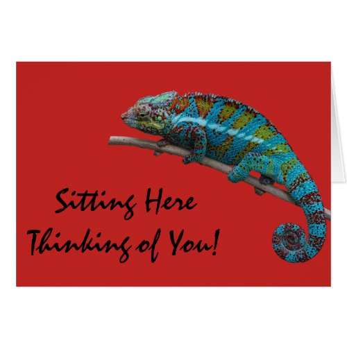 Blue Lizard Thinking of You Greeting Card