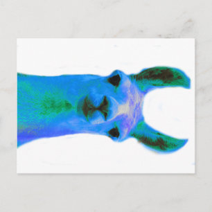 Blue Llama Graphic Postcard