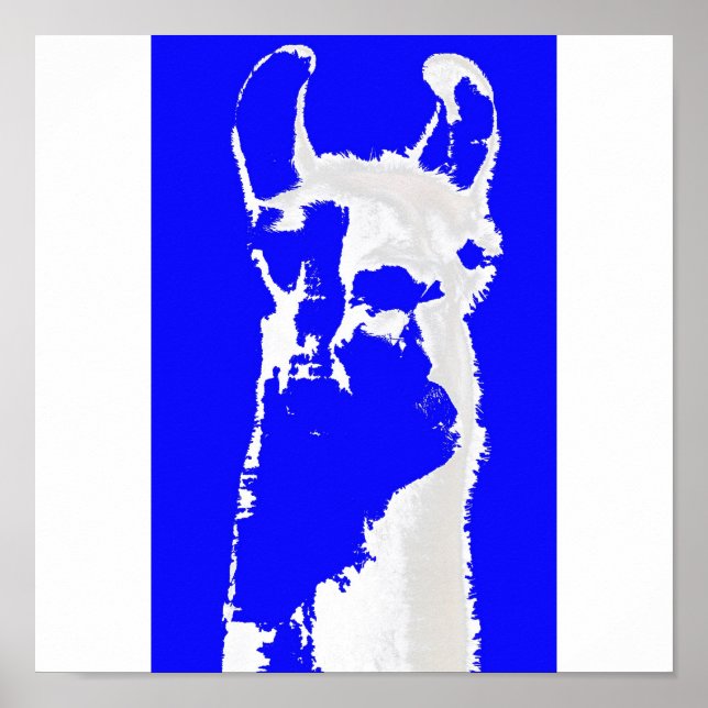 Blue llama poster (Front)