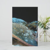 blue lobster (Standing Front)