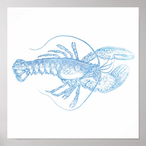Blue Lobster Poster