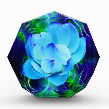 Blue Lotus Flower And Its Meaning Award by laureenr at Zazzle
