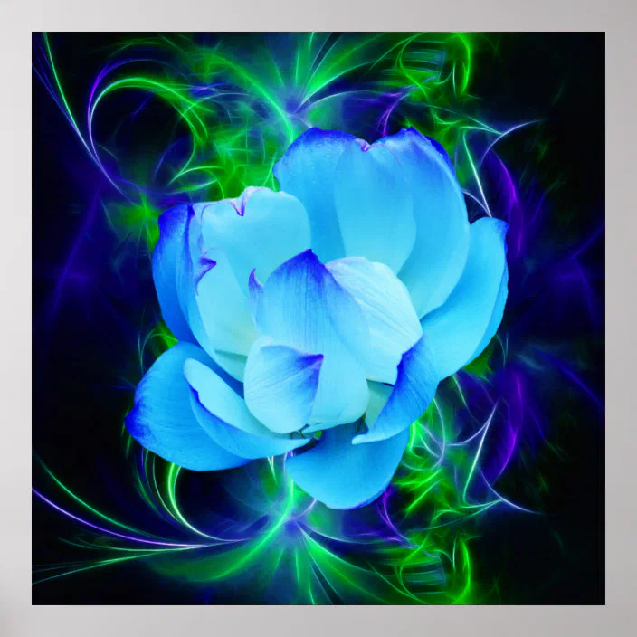 Blue Lotus Flower And Its Meaning Poster Zazzle Com