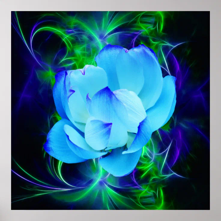 Blue Lotus Flower And Its Meaning Poster Zazzle