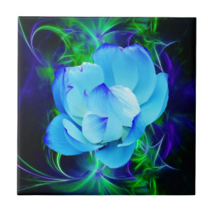 Blue lotus flower and its meaning tile