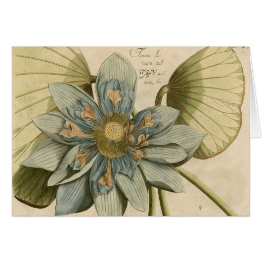 Blue Lotus Flower on Tan Background with Writing Cards (Front Horizontal)