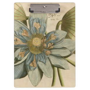Blue Lotus Flower on Tan Background with Writing Clipboard