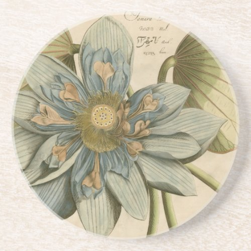 Blue Lotus Flower on Tan Background with Writing Coaster