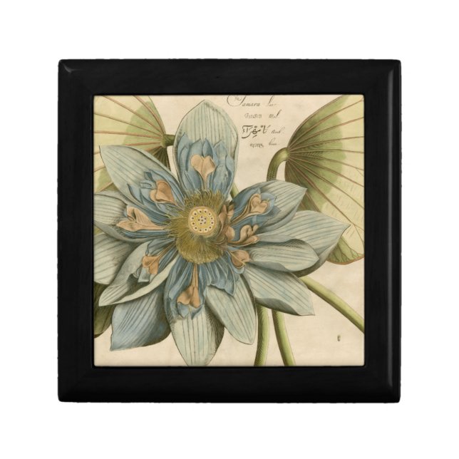 Blue Lotus Flower on Tan Background with Writing Gift Box (Front)