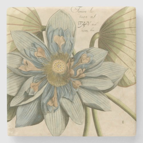 Blue Lotus Flower on Tan Background with Writing Stone Coaster