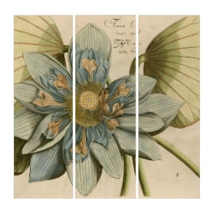 Blue Lotus Flower on Tan Background with Writing Triptych