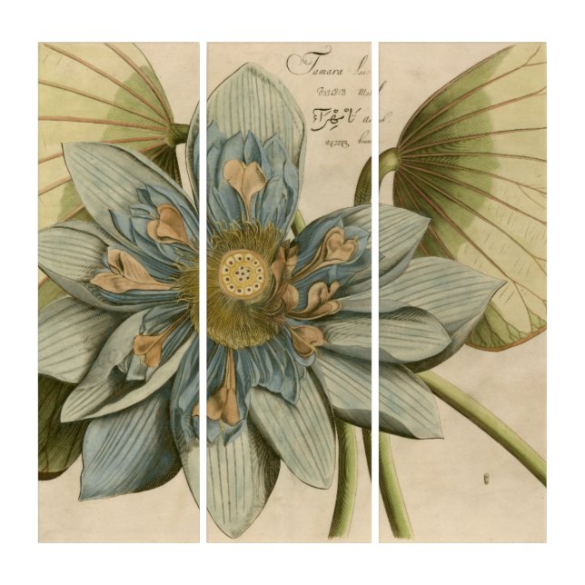 Blue Lotus Flower on Tan Background with Writing Triptych (Front)