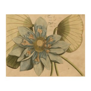 Blue Lotus Flower on Tan Background with Writing Wood Wall Decor