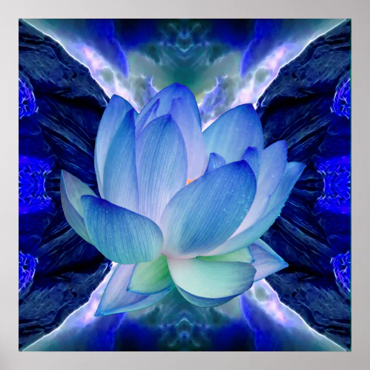 Blue Lotus Flower Poster Zazzle